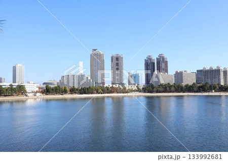 お台場海浜公園・台場公園から臨海副都心のビル群を望む（東京都港区） 133992681
