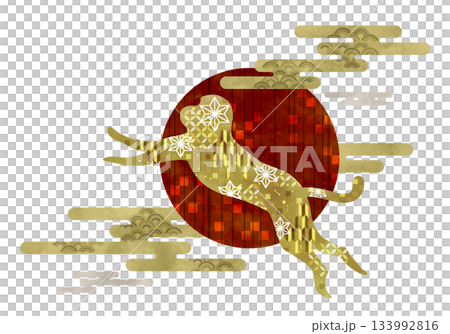 日本花紋猴與第一道陽光 133992816