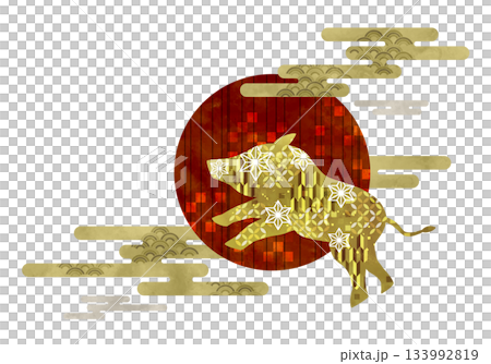 日本花紋野豬與第一道陽光 133992819