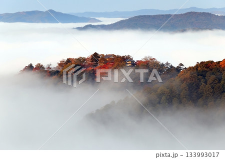 天空の山城6415 133993017