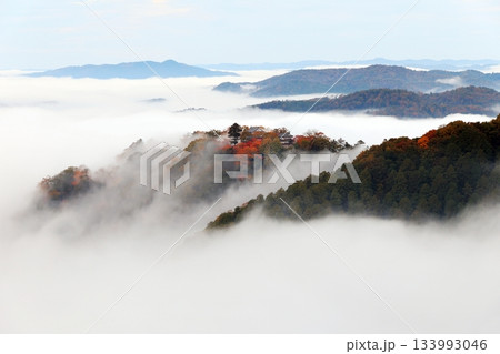 天空の山城6533- 133993046
