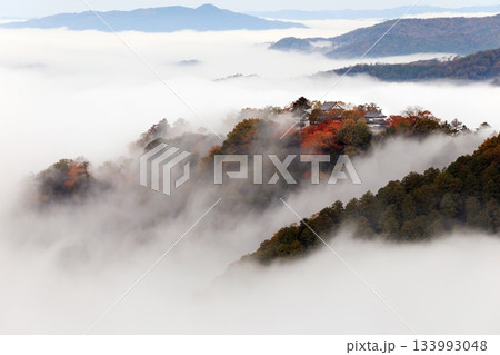 天空の山城6537 133993048