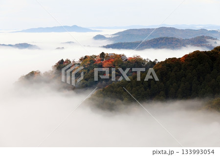 天空の山城6564 133993054