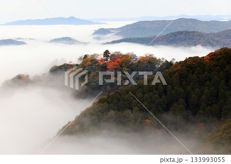 天空の山城6567 133993055