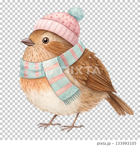 Cute chubby little bird wearing a colorful winter beanie with a fluffy pom pom and a vibrant multicolor scarf Cute chubby little bird wearing a colorful winter beanie with a fluffy pom pom and a vibrant multicolor scarf 133993105