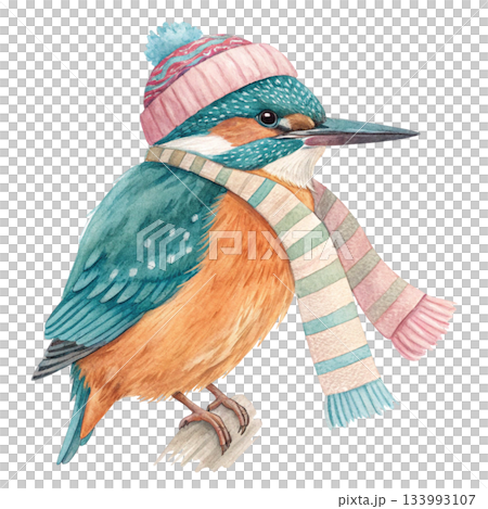 Cute chubby little bird wearing a colorful winter beanie with a fluffy pom pom and a vibrant multicolor scarf Cute chubby little bird wearing a colorful winter beanie with a fluffy pom pom and a vibrant multicolor scarf 133993107