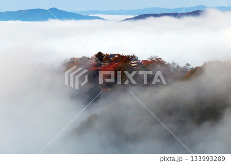 天空の山城6239 133993289