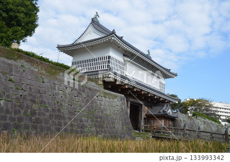 鹿児島城 御楼門 鹿児島城 御楼門 133993342