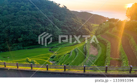 佐賀県、浜野浦の棚田 133993394
