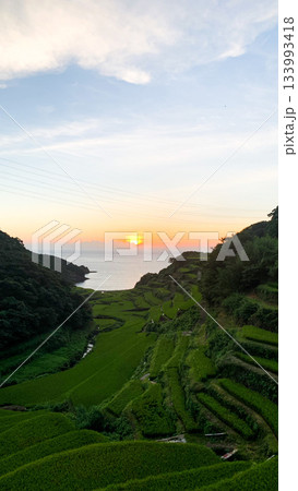 佐賀県、浜野浦の棚田 133993418