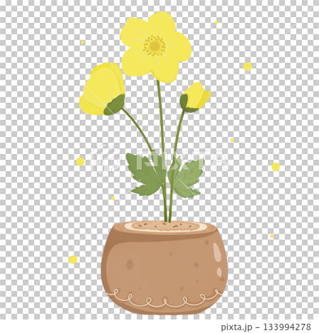 yellow flowers in a pot yellow flowers in a pot 133994278