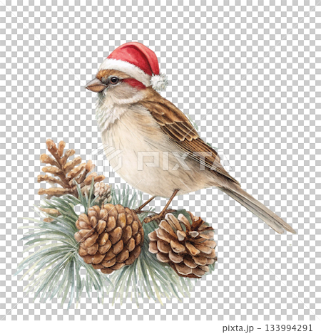 The cutest bird in the world  Santa hat 133994291