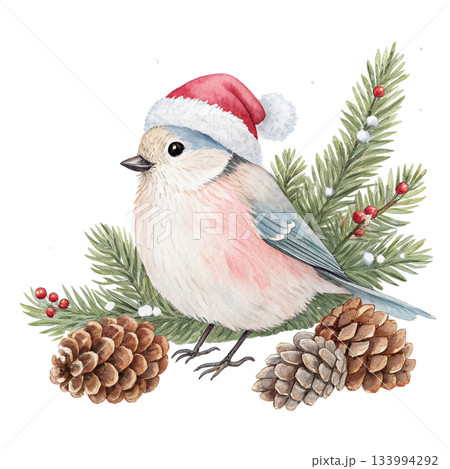 The cutest bird in the world  Santa hat 133994292