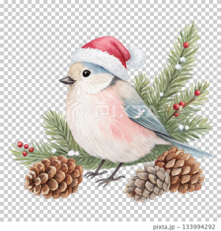 The cutest bird in the world  Santa hat 133994292