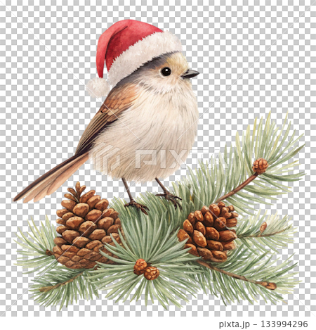The cutest bird in the world  Santa hat 133994296