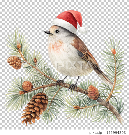 The cutest bird in the world  Santa hat 133994298