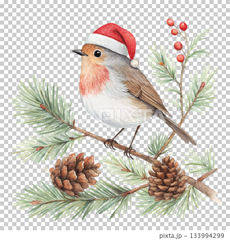The cutest bird in the world  Santa hat 133994299