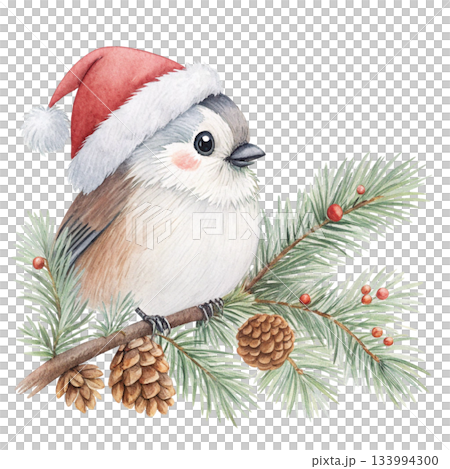 The cutest bird in the world  Santa hat 133994300