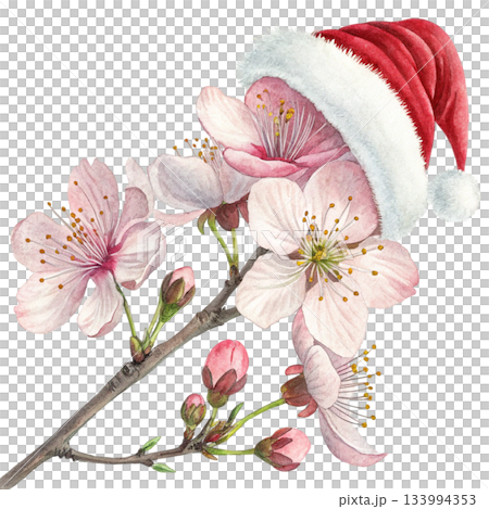 The most beautiful flower in the world a giant Santa hat The most beautiful flower in the world a giant Santa hat 133994353