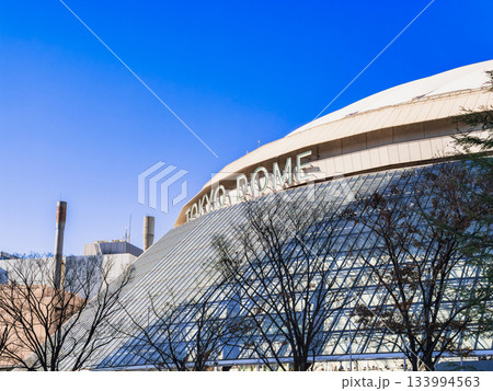 東京ドーム 東京ドーム 133994563