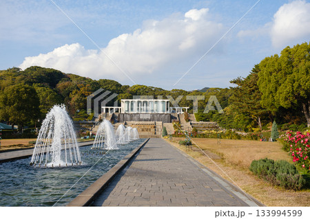 神戸市の須磨離宮公園にある庭園の満開のバラと噴水 神戸市の須磨離宮公園にある庭園の満開のバラと噴水 133994599