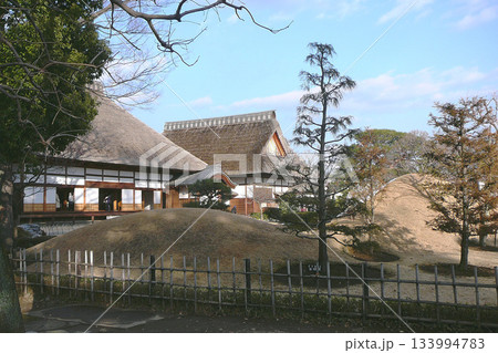 栃木県：足利学校跡／庭園側から【日本遺産・国指定遺跡】栃木県足利市 133994783