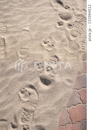 人と動物の足跡が混ざり合う砂のパターン背景 133994812