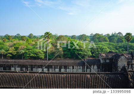 高台から眺めるアンコール遺跡群の美しい風景 133995098