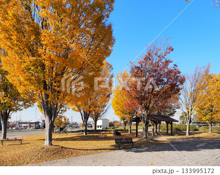 上総更科公園(市原市) 上総更科公園(市原市) 133995172