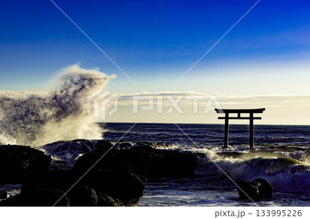 大洗磯前神社 波しぶき 大洗磯前神社 波しぶき 133995226