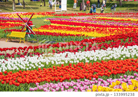 木曽三川公園のチューリップ《岐阜県 海津市 木曽三川公園センター》 木曽三川公園のチューリップ《岐阜県 海津市 木曽三川公園センター》 133995238