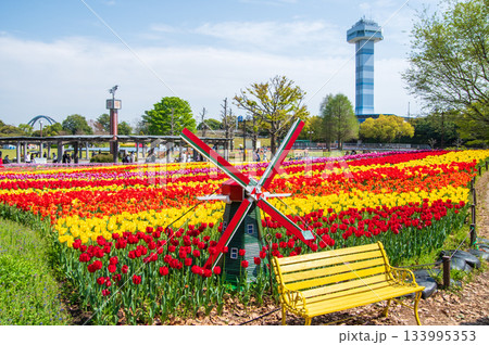 木曽三川公園のチューリップ《岐阜県 海津市 木曽三川公園センター》 133995353