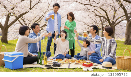 友人たちと公園でお花見しているシーン 友人たちと公園でお花見しているシーン 133995752