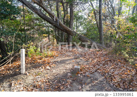 南野山の山頂(大阪府四條畷市) 南野山の山頂(大阪府四條畷市) 133995861