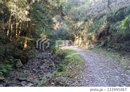 権現川ハイキングコース（大阪府四條畷市） 133995867