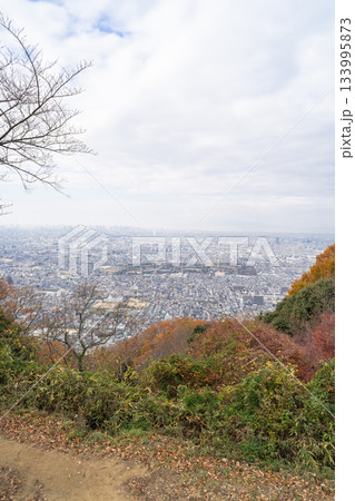 河内飯盛山の山頂展望台から見た景色（大阪府大東市） 133995873