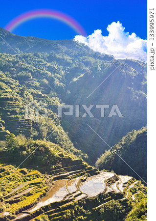 世界遺産・コルディリェーラの棚田群の絶景 世界遺産・コルディリェーラの棚田群の絶景 133995971
