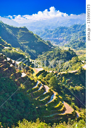 世界遺産・コルディリェーラの棚田群の絶景 133995973