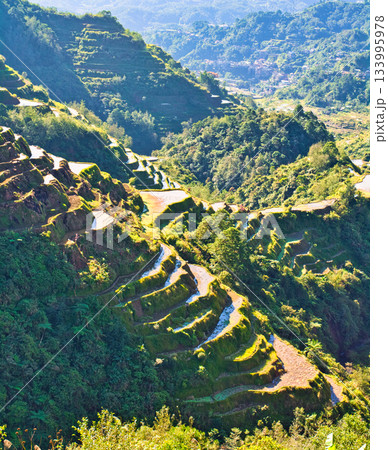 世界遺産・コルディリェーラの棚田群の絶景 133995978
