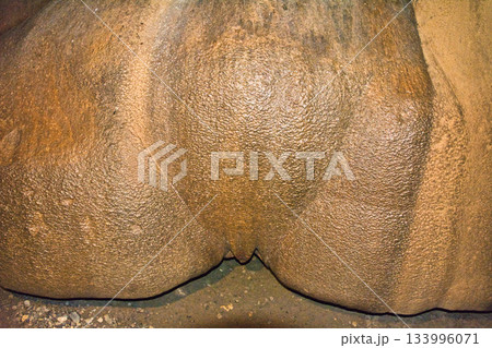 サガダのルミアン洞窟・スマギン洞窟の絶景 サガダのルミアン洞窟・スマギン洞窟の絶景 133996071