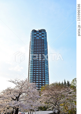 東京ミッドタウン 桜並木 東京ミッドタウン 桜並木 133996586
