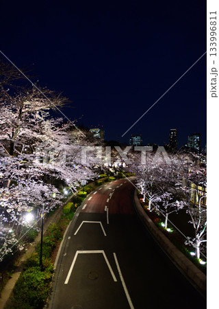 東京ミッドタウン　桜並木（ライトアップ） 133996811