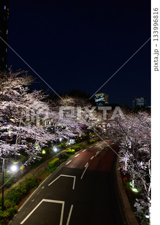 東京ミッドタウン　桜並木（ライトアップ） 133996816