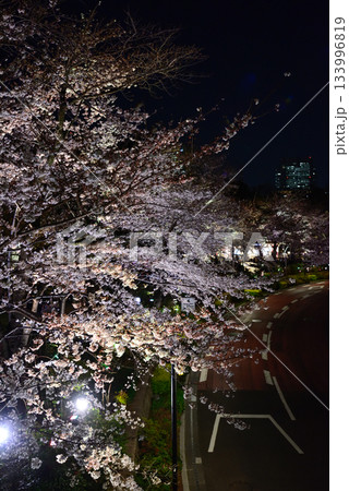 東京ミッドタウン　桜並木（ライトアップ） 133996819
