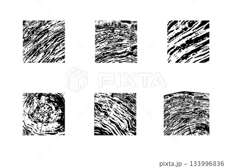 Wood cross section Wood cross section 133996836