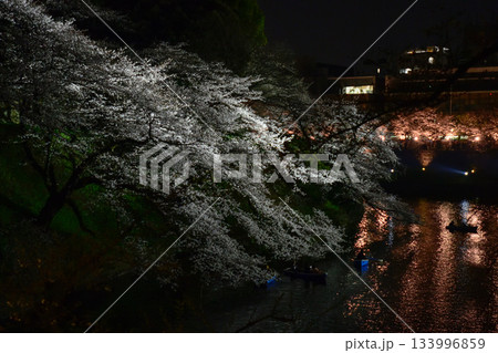 千鳥ヶ淵の桜 133996859