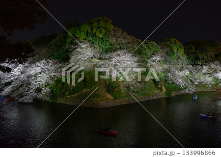 千鳥ヶ淵の桜 133996866