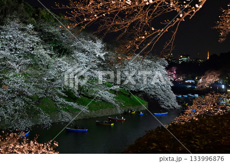 千鳥ヶ淵の桜 千鳥ヶ淵の桜 133996876