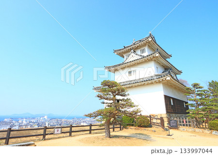 香川県丸亀市、丸亀城の風景 香川県丸亀市、丸亀城の風景 133997044