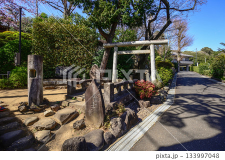 護国寺　音羽富士塚（富士塚） 133997048